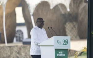 Rwanda Gorilla Naming Ceremony