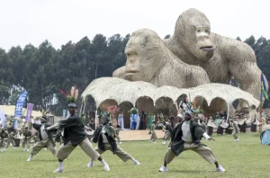 Rwanda Gorilla Naming Ceremony
