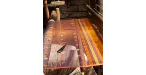 Aaavjo Sarees