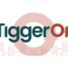Tiggeron Triumph: Revolutionizing Real Estate with Innovative CRM Solutions