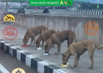 Dashrath Putra Foundation