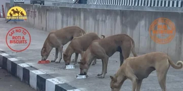 Dashrath Putra Foundation