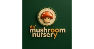 Mushroom Nursery India
