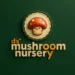 Mushroom Nursery India